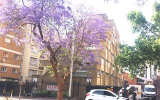 3 Bedroom Flat in Arcadia