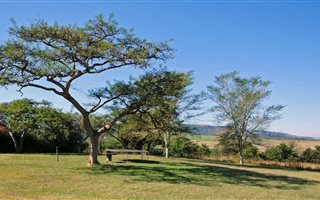 36.7 ha Farm in Wartburg