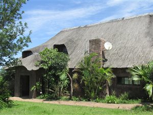 23 ha Farm in Sunrise on Sea