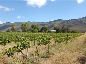 54 ha Farm in Montagu