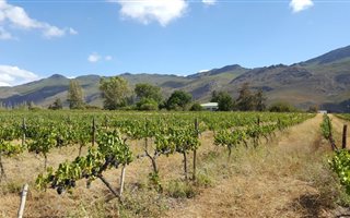 54 ha Farm in Montagu