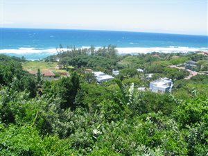 1490 m² Land available in Zinkwazi Beach