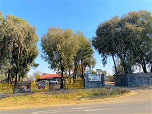 Commercial space in Walkerville