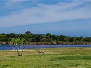 3 Bed Apartment in Keurboomstrand