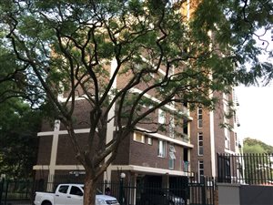 1 Bed Flat in Sunnyside