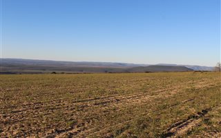 1348 ha Farm in Clanwilliam