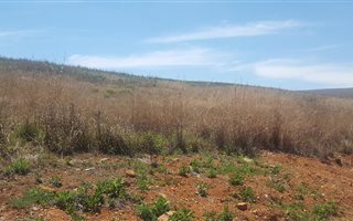 889 m² Land available in Dullstroom