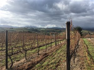 21 ha Farm in Elgin