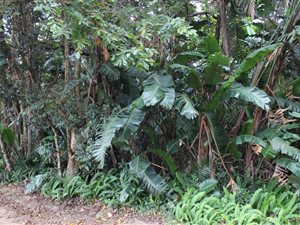 1381 m² Land available in Glenmore