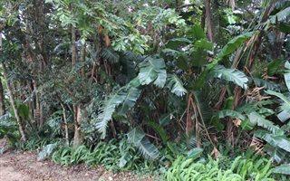 1381 m² Land available in Glenmore