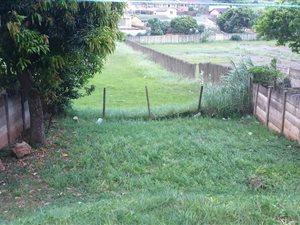 3 Bed House in Lotus Park