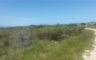 1190 m² Land available in Colchester