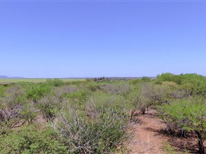 1597 m² Land available in Marloth Park
