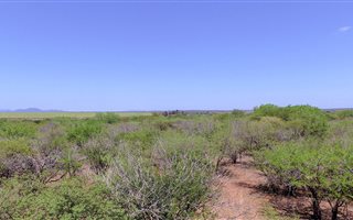 1597 m² Land available in Marloth Park