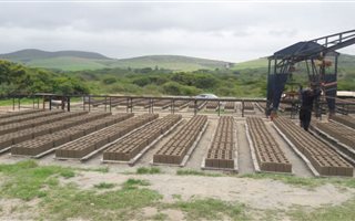 10000 m² Commercial space in Empangeni