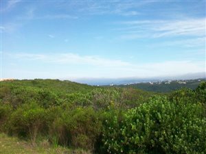 1400 m² Land available in Schoongezicht