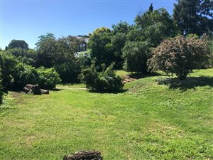 635 m² Land available in Sunnyside
