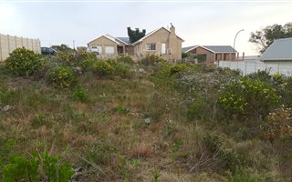 956 m² Land available in Dana Bay
