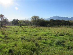 4635 m² Land available in Pacaltsdorp