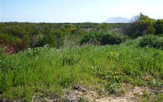 647 m² Land available in Hawston