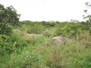 70 ha Farm in Nelspruit