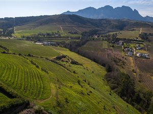 4 Bed House in Weltevreden Hills Estate