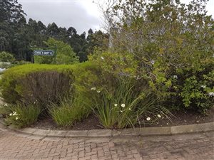 706 m² Land available in Heather Park