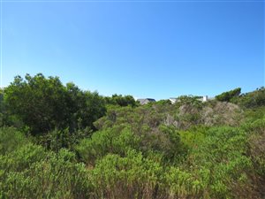 917 m² Land available in Bettys Bay