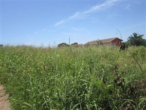 1952 m² Land available in Townview