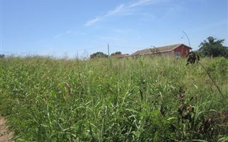 1952 m² Land available in Townview