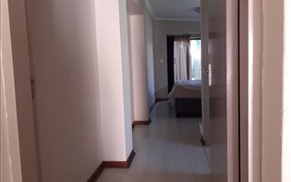 1 Bedroom Apartment in Sydenham