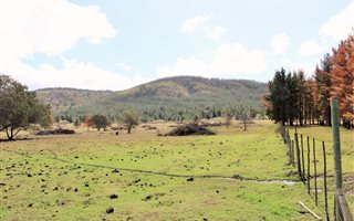 145 ha Land available in Wittedrift