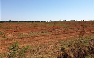 75 ha Farm in Tweefontein