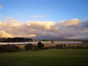 Smallholding in Greytown