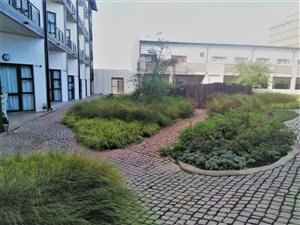 Studio Apartment in Maboneng