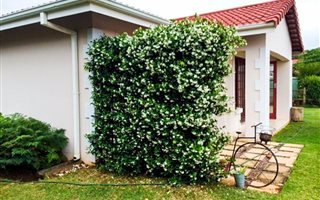 3 Bedroom Townhouse in Ballito