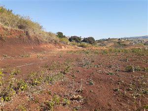 1130 m² Land available in Adams Mission