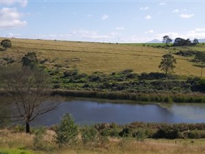 23.3 ha Farm in Great Brak River