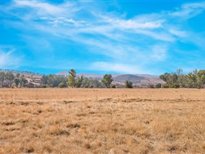 5961 m² Land available in Laezonia