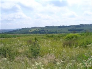 1.1 ha Land available in Mooikloof Glen