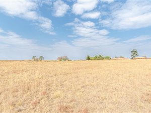 1.6 ha Land available in Droogefontein
