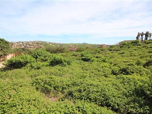 859 m² Land available in Port Alfred
