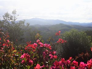 22 ha Farm in Mossel Bay Central