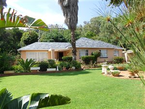3 Bed House in Mountain View
