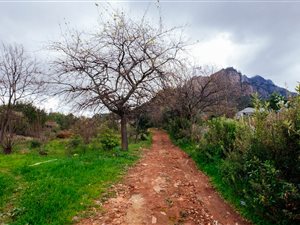 5000 m² Land available in Pniel