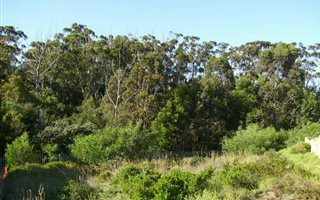 514 m² Land available in Glenroy Park