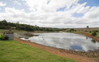 435 ha Farm in Alexandria
