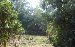 1503 m² Land available in Dawncliffe