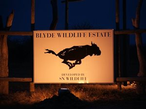 3900 m² Land available in Blyde Wildlife Estate