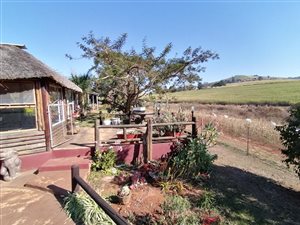 2.2 ha Smallholding in Bishopstowe